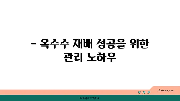 옥수수 재배 성공을 위한 완벽 가이드 | 옥수수 심는 시기, 품종, 관리법, 수확 팁