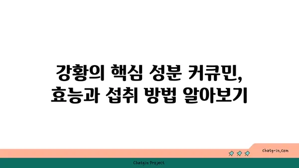 강황의 놀라운 효능 7가지| 건강, 미용, 요리까지 | 강황 효능, 강황 레시피, 커큐민