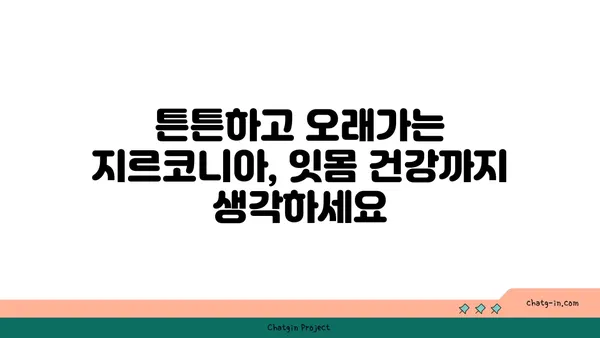 지르코니아 치아, 이제는 선택이 아닌 필수! | 지르코니아 크라운, 장점과 단점, 가격 비교