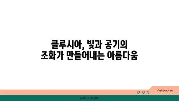 클루시아| 빛과 공기를 사랑하는 실내 정원의 주인공 | 식물, 관리법, 인테리어