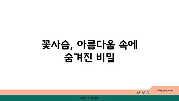 꽃사슴, 그 아름다운 비밀을 파헤쳐 보세요! | 꽃사슴, 사슴, 동물, 야생동물, 한국 동물