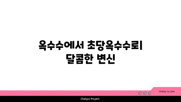 달콤한 유혹, 초당옥수수| 역사와 문화 속 달콤함 | 초당옥수수, 옥수수, 역사, 문화, 농업