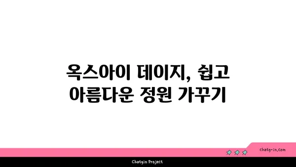 옥스아이 데이지의 매력에 빠지다| 과소평가된 아름다움과 매력적인 특징 | 야생화, 꽃말, 재배 정보