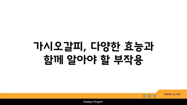 가시오갈피 효능과 부작용 완벽 정리 | 건강, 약초, 섭취 방법, 주의 사항