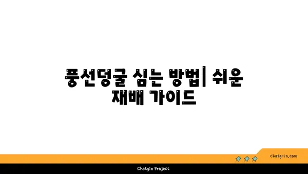 풍선덩굴 키우기| 햇살 가득한 정원을 위한 완벽한 가이드 | 풍선덩굴, 재배, 관리, 번식, 종류