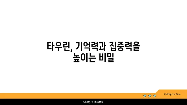 타우린의 뇌 건강 효능| 기억력 증진, 집중력 향상, 스트레스 완화 | 뇌 건강, 타우린, 건강 정보, 영양소