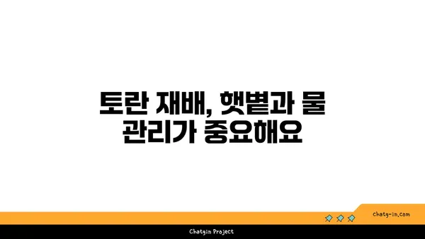 토란 재배 성공 가이드| 씨앗부터 수확까지 완벽한 팁 | 토란 재배, 토란 키우기, 토란 농사