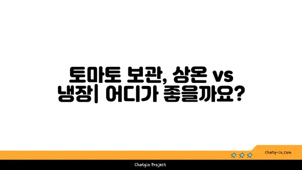 토마토 오래 보관하는 방법| 싱싱함을 유지하는 5가지 비법 | 토마토 보관, 토마토 저장, 토마토 관리, 싱싱한 토마토