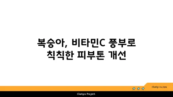 복숭아 피부 미용 효과| 건강한 빛을 더하는 과일의 비밀 | 피부 건강, 비타민C, 콜라겐, 복숭아 효능