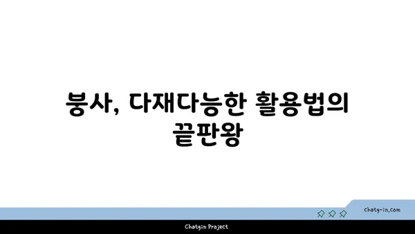 붕사의 놀라운 활용법|  세척부터 건강까지 | 붕사, 활용, 효능, 주의사항