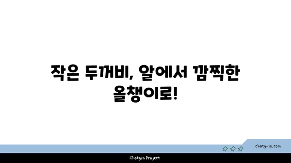 작은두꺼비의 놀라운 변신| 알에서 성인까지 | 양서류, 두꺼비, 생태, 성장