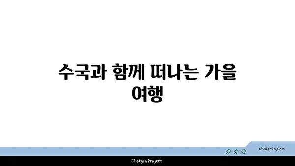 수국 페스티벌| 가을빛 축제 속으로 | 수국, 가을 축제, 가을 여행, 축제 정보