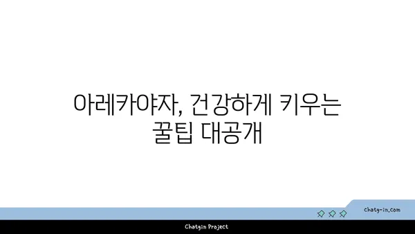 아레카야자 키우기 완벽 가이드 | 실내 식물, 공기 정화, 관리법, 번식