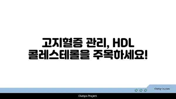 고밀도 지단백질(HDL)| 좋은 콜레스테롤, 건강하게 높이는 방법 | 고지혈증, 심혈관 건강, 콜레스테롤 관리