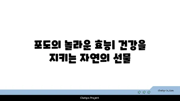 포도의 놀라운 효능과 영양 정보| 건강을 위한 달콤한 선택 | 포도, 건강, 효능, 영양, 섭취, 레드 와인