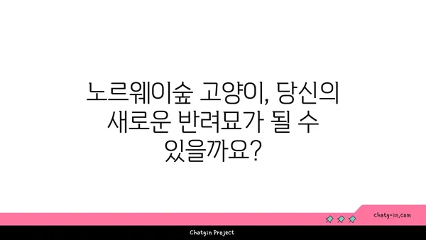 노르웨이숲 고양이 완벽 가이드| 성격, 외모, 건강, 그리고 입양 | 노르웨이숲, 고양이 종류, 반려묘, 분양