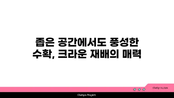 제한된 공간에서 토마토 생산성을 높이는 크라운 재배 방법 | 토마토 크라운 재배, 좁은 공간, 수직 재배, 생산성 향상