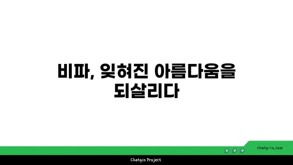 비파 교육의 중요성| 전통 보존과 미래를 위한 길 | 한국 전통 악기, 문화 유산, 교육, 미래