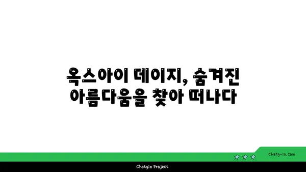 옥스아이 데이지의 매력에 빠지다| 과소평가된 아름다움과 매력적인 특징 | 야생화, 꽃말, 재배 정보