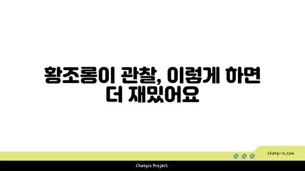 황조롱이 관찰 가이드| 서식지, 습성, 그리고 아름다운 비행 | 야생동물 관찰, 조류 관찰, 탐조 팁