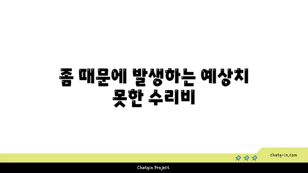 좀 때문에 망가지는 내 집, 얼마나 손해일까? | 숨겨진 비용 폭로, 좀의 재정적 영향