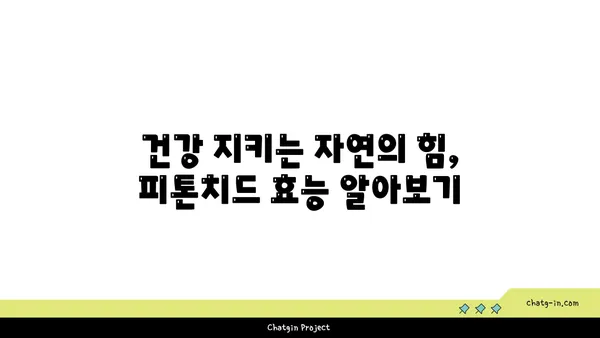 피톤치드의 효능과 활용 | 건강, 숲, 자연, 공기정화, 스트레스 해소