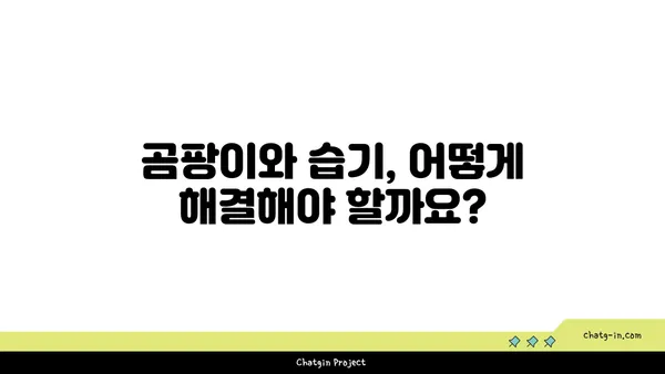 집안 좀, 건강과 행복을 위협하다| 당신의 삶에 미치는 영향 | 곰팡이, 습기, 건강 문제, 해결책