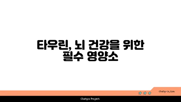 타우린의 뇌 건강 효능| 기억력 증진, 집중력 향상, 스트레스 완화 | 뇌 건강, 타우린, 건강 정보, 영양소