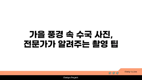 수국과 예술| 가을 풍경을 담는 아름다운 방법 | 수국 사진, 가을 풍경, 예술, 사진 팁