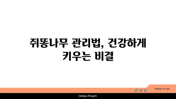 쥐똥나무의 매력|  정원에 심는 쥐똥나무 종류와 관리법 | 쥐똥나무, 정원수, 조경, 식재, 관리