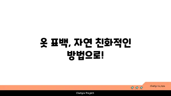 과탄산소다로 옷 표백하기| 자연 친화적인 옷 세탁 팁 | 옷 표백, 천연 세제, 섬유 관리