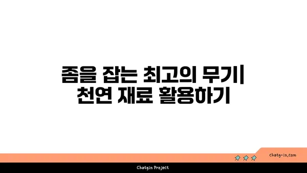 깨끗한 집의 비밀| 좀을 쫓아내는 5가지 실용적인 기술 | 벌레 퇴치, 집 청소, 홈 케어