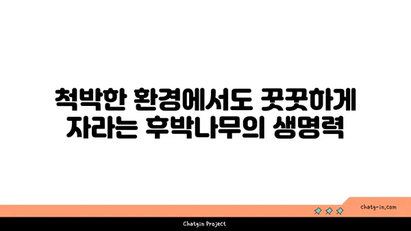 후박나무의 매력| 약효, 재배, 그리고 전설 | 나무, 약용식물, 전통 지식, 민간요법