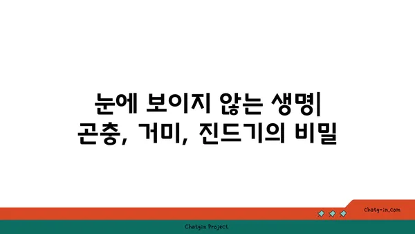 좀 생태계| 집안 속 미지의 세계 탐험 | 곤충, 거미, 진드기, 생물 다양성, 집안 환경