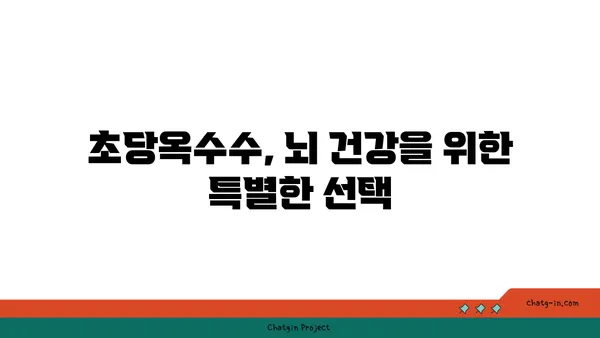 초당옥수수의 놀라운 신경 보호 효능| 과학적 근거와 실제 효과 | 뇌 건강, 항산화, 기억력, 집중력