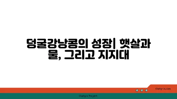 덩굴강낭콩 재배 가이드| 씨앗부터 수확까지 | 텃밭, 채소, 콩, 재배 방법, 팁, 요리