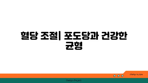 포도당의 모든 것| 구조, 기능, 그리고 건강 | 탄수화물, 에너지, 혈당, 당뇨병, 영양