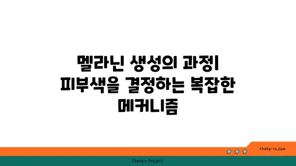 멜라닌의 비밀| 피부, 모발, 눈 색깔을 결정하는 멜라닌의 역할과 종류 | 피부색, 멜라닌 생성, 색소 침착