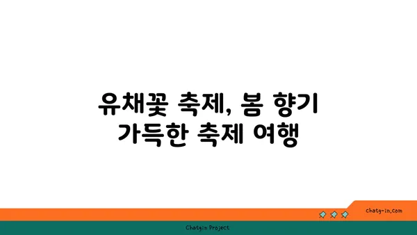 유채꽃밭 여행, 어디로 갈까? | 유채꽃 명소, 축제, 여행 정보