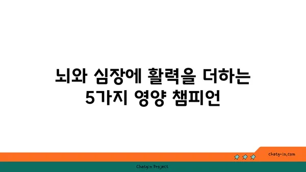 두뇌와 심장 건강을 위한 5가지 최고의 음식 | 뇌 건강, 심장 건강, 건강 식단, 영양 팁