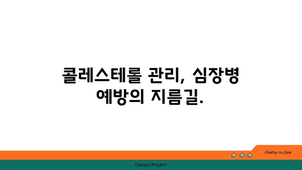 심장 건강 지키는 콜레스테롤 관리 3가지 필수 조치 | 건강, 콜레스테롤, 심장병 예방