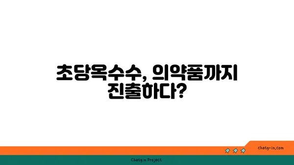 초당옥수수의 놀라운 변신| 요리부터 의약품까지 | 초당옥수수 활용법, 건강 효능, 레시피