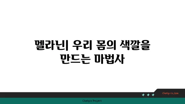 멜라닌의 비밀| 피부, 모발, 눈 색깔을 결정하는 멜라닌의 역할과 종류 | 피부색, 멜라닌 생성, 색소 침착