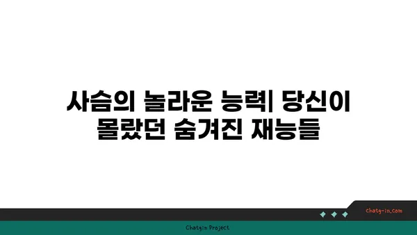 사슴의 비밀| 흥미로운 사실과 놀라운 능력 | 동물, 야생, 숲, 사슴 종류, 생태