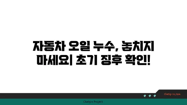 자동차 오일 누수 잡는 꿀팁| 초기 징후부터 해결 방법까지 | 오일 누수, 점검, 수리, DIY