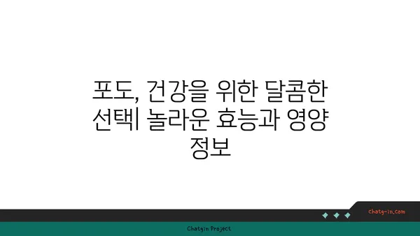 포도의 놀라운 효능과 영양 정보| 건강을 위한 달콤한 선택 | 포도, 건강, 효능, 영양, 섭취, 레드 와인