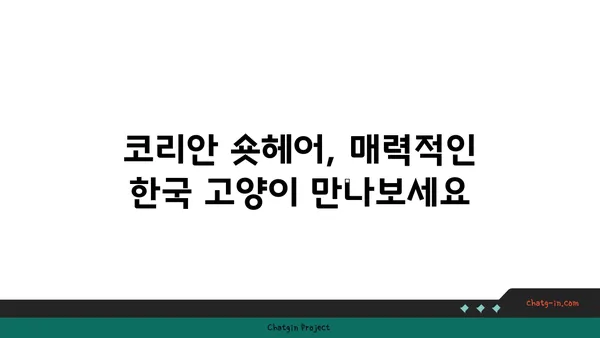 코리안 숏헤어 완벽 가이드| 성격, 건강, 관리, 그리고 입양까지 | 고양이, 품종, 특징, 키우기