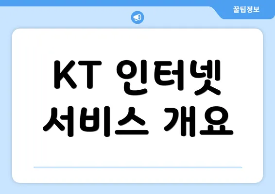 KT 인터넷 서비스 개요