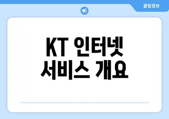 KT 인터넷 서비스 개요