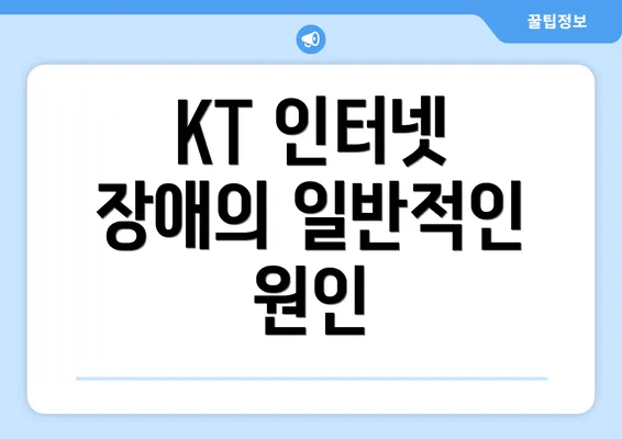 KT 인터넷 장애의 일반적인 원인